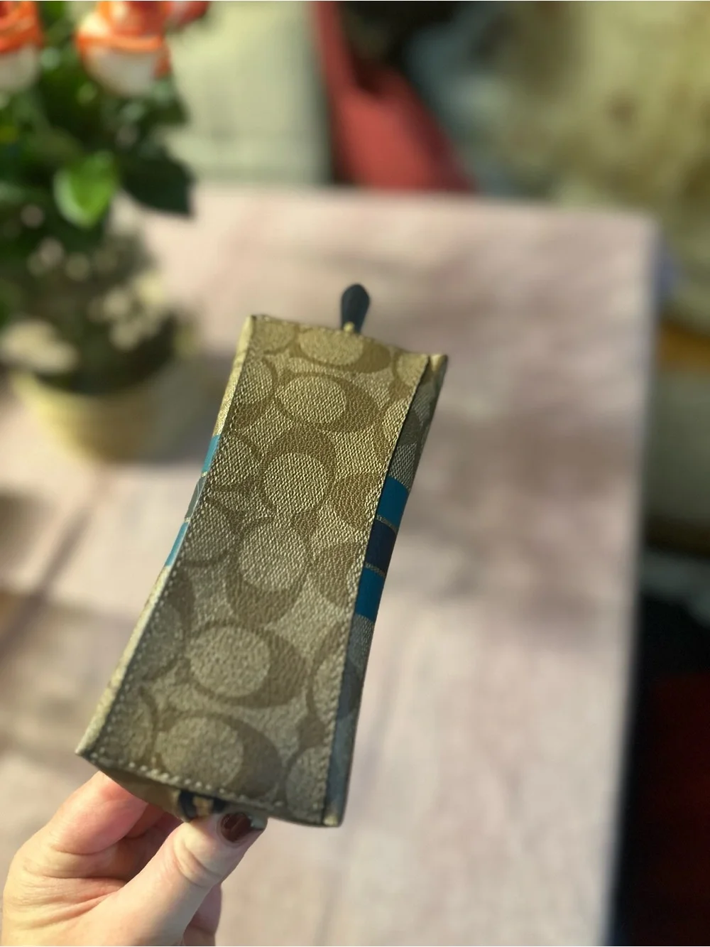 Coach Brown Signature Cosmetic Pouch with Teal Stripes